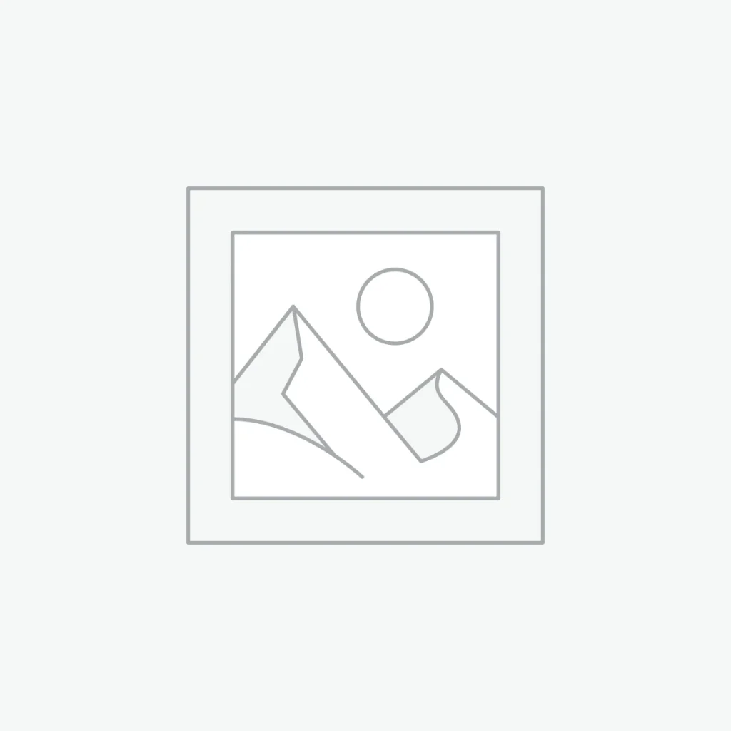 Plan Organizador